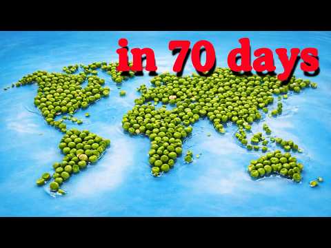 World Peas rots just like in real life Time Lapse