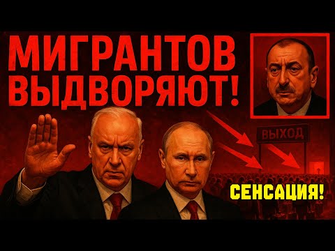 Путин и Бастрыкин УДАРИЛИ по мигрантам: Выдворения начались, Алиев в ШОКЕ!