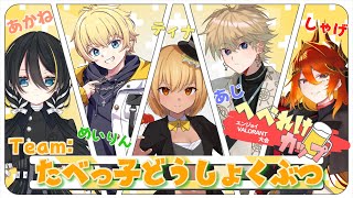 【VALORANT】チーム：『たべっ子どうしょくぶつ』開園！！ティナ視点【へべれけカップ】
