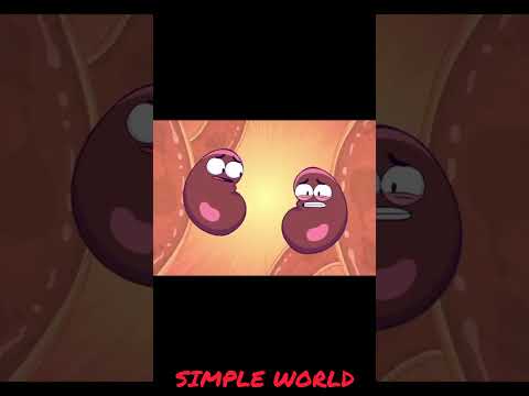 பிறந்த குழந்தைக்கு தண்ணி குடுத்தா என்ன ஆகும் | Cat vs SIMPLE WORLD
