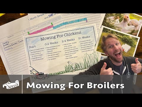 When To Mow For Meat Chickens