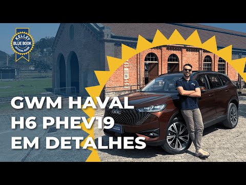 GWM Haval H6 PHev19 é a MELHOR COMPRA DO SEGMENTO?