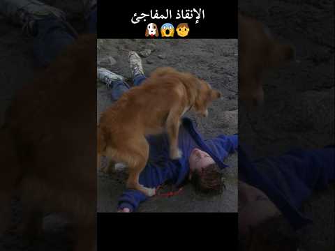 الإنقاذ المفاجئ 🧒😱🐶 #shorts #ملخص_فيلم #أفلام_الصيف #film #فيلم #اكسبلور