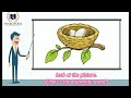 Identifying Initial Sounds in Words
