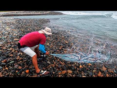 La Mancha de Peces Apareció y Este Pescador No Dejó Pasar la Oportunidad