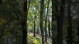 Plötzensee #berlintravelguide #nature #germanytourism #lake #berlin