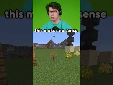 Minecraft Makes No Sense…😂 #reaction
