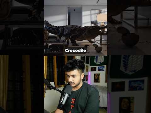 What Would You Do If This Animal CAME TO YOUR HOUSE?😱