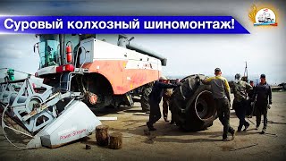 видео