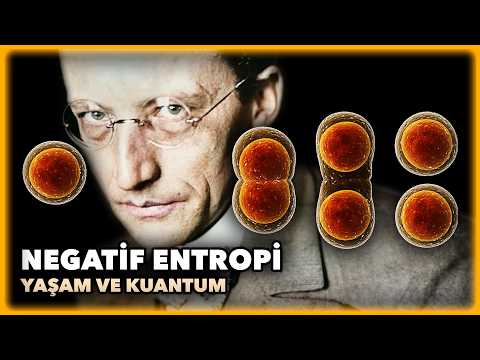 Yaşam Fizik Yasalarına mı Dayanır? | Schrödinger’in Tartışmalı Hayatı