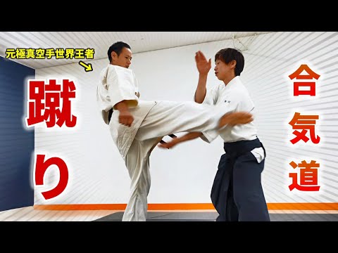 [Karate x Aikido] Aikido techniques against kicking techniques