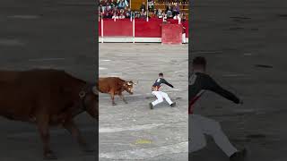 Última suerte de la semifinal del concurso de maestros de la calle Castellón 2025