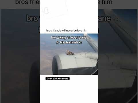 Broโs Taking An Uberโฆ ๐