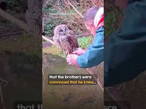 The wise owl understood they’re here to help 🥹