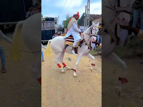 āĻāϞā§āϞāĻžāĻš āĻāĻžāĻĄāĻŧāĻž āĻŽāĻžāĻŦā§āĻĻ āύāĻžāĻ āĻāĻ āĻāϞā§āϞāĻžāĻš #horse #allah #dance #horseriding #islamicshort #āĻāϏāϞāĻžāĻŽāĻŋāĻ_āĻāĻŋāĻĄāĻŋāĻ