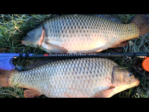 Огромные осенние карпы на удочку Huge carp fall for the bait