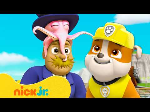 Paw Patrol | ¡Detener al alcalde Humdinger! | Nick Jr. en Español