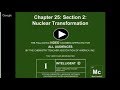 Transuranium Elements and Radioactive Decay