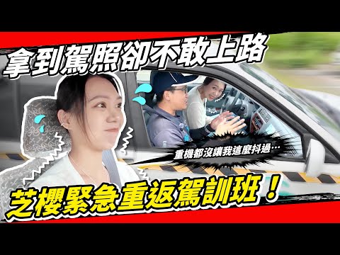 把芝纓送回駕訓重新學開車！台灣三寶都應該重新考駕照！Feat 大鑫駕訓班、ONAIR 3C