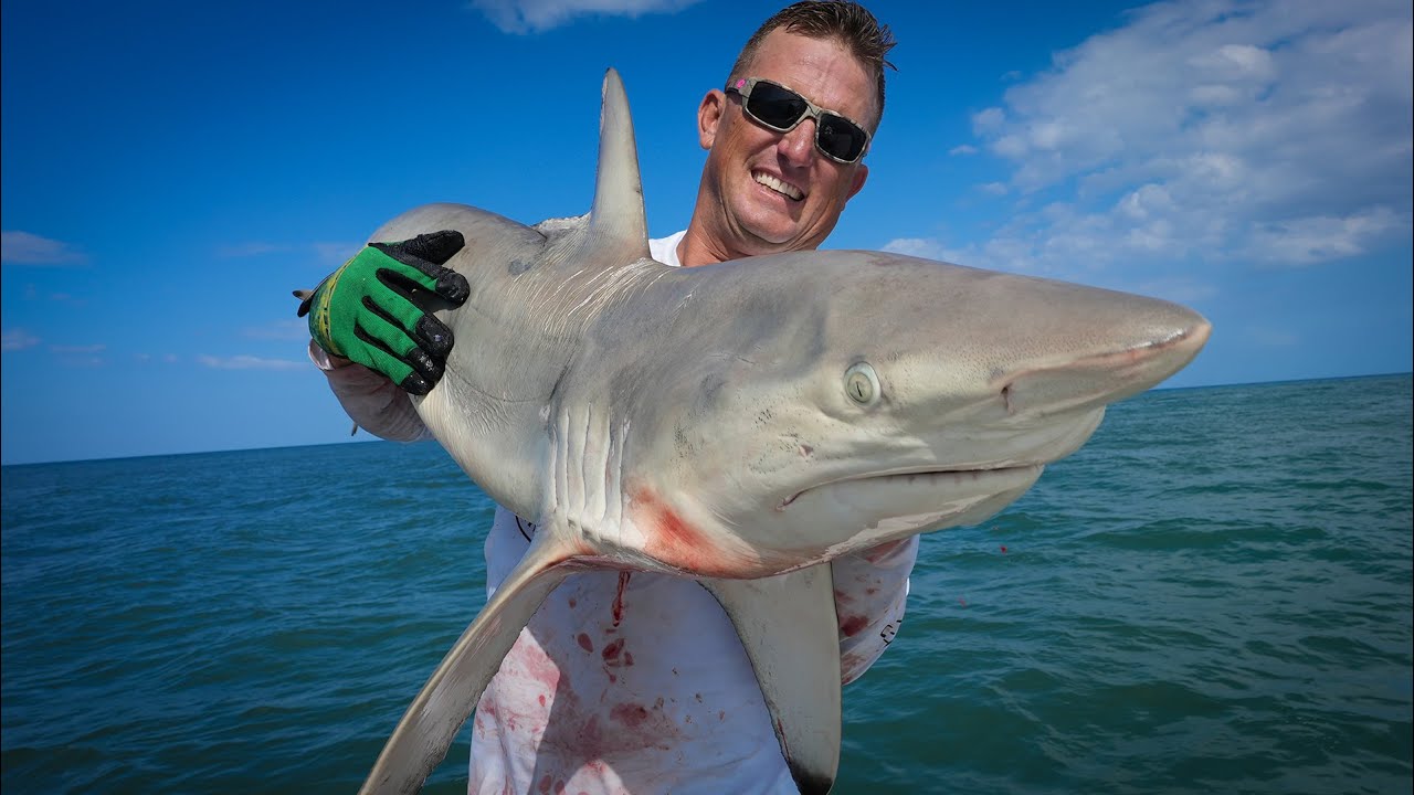 BlackTip SHARK + Pompano Catch Clean Cook Epic Birthday Party Taste Test!