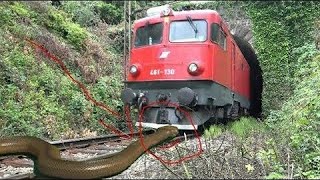 ANACONDA AND NAGIN STOPS THE TRAIN AT UNMANNED LEVEL CROSSING IN INDIAN TRAIN SIMULATOR