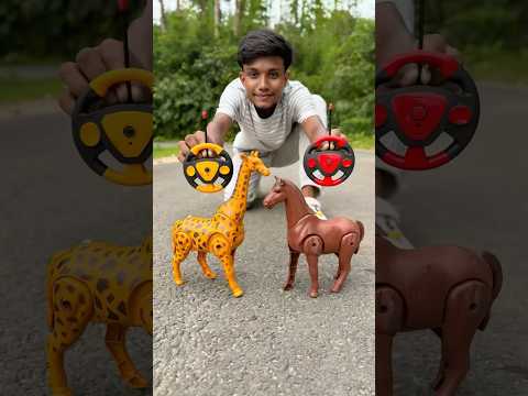 RC Remote Control Giraffe And Horse Testing Deko ๐ฅ