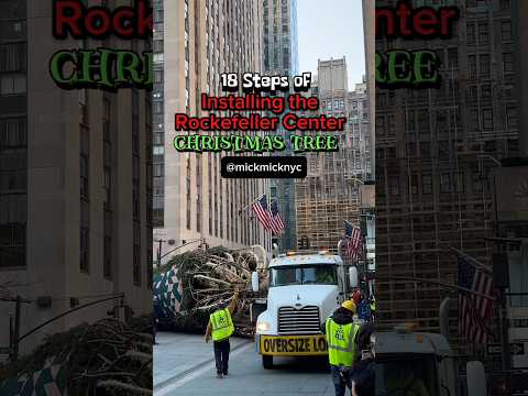 🎄 18 Steps of Installing the Rockefeller Center Christmas Tree