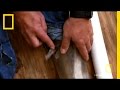 Ballistics Gel Experiment Analysis