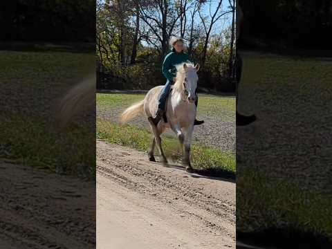 Riding @CollectHorsemanship‘s beautiful Whisper💖