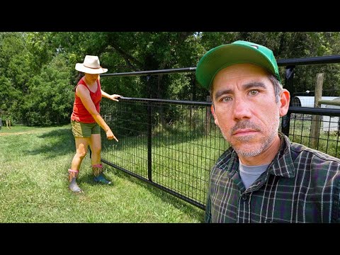 Last Gate to Keep out the Dogs from Eating My Chickens