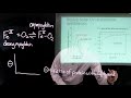 Ligand Binding and Myoglobin Concepts