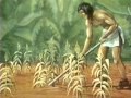 Agricultural Development in Early Settlers
