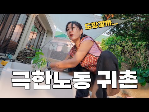 도시생활보다 더 빡센 초보 귀촌러의 우당탕탕 집꾸미기...