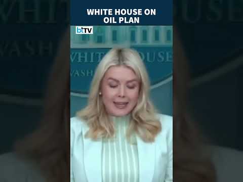 Oil Tankers Still Waiting? White House Responds | Karoline Leavitt