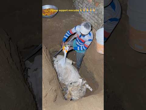 I am sad 😔😭😭😭😭#ytshorts #animals #gaymata #gay #shorts #shortsfeed