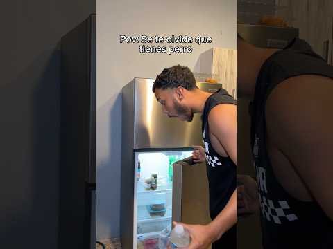 Pov: I Forget I Have A Dog…😭