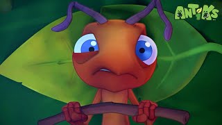 Hicksende Helden! 🦸‍♂️ Antiks - Lustige Cartoons für Kinder | Moonbug Kids Deutsch