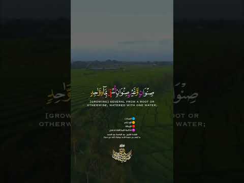 { وَفِى ٱلْأَرْضِ قِطَعٌ مُّتَجَٰوِرَٰتٌ }