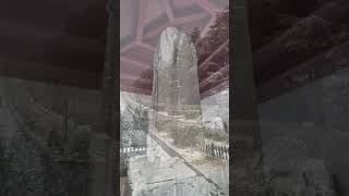 這次看到最美的景以及聽到最好聽的歌！