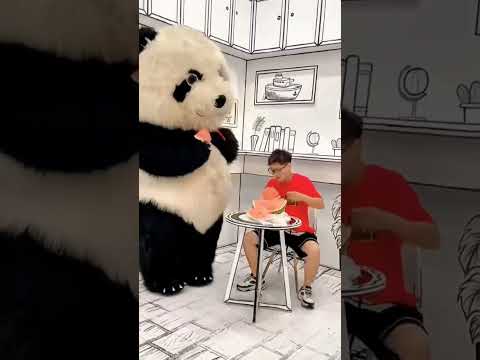 باندا الفرفوشه رزق اخواتشي 😁👬🦟♥️ #panda #باند #بندي #اكسبلور #explore #cute #gorilla #ترند
