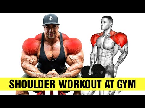 7 Best Shoulder Workout At Gym