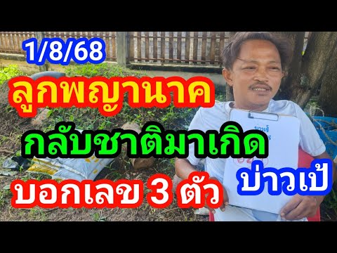 #ลูกพญานาคกลับชาติมาเกิด#บอกเลขชาวบ้าน 3 ตัวปลดหนี้#1/8/68#บ่าวเป้