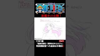 アニメ「#ONEPIECE」見放題配信への追加は木曜日‼️1161話‼️ #onepiece #原撮