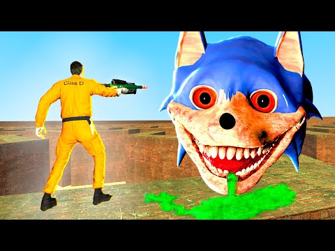 СОНИК ПОЖИРАТЕЛЬ В ЛАБИРИНТЕ С ПОРТАЛАМИ ЗАЩИЩАЕТ ОРУЖИЕ SONIC EXE Garry's Mod Sandbox