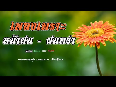 รวมเพลงเพราะ หน้าฝน  //  ฝนพร่ำ ฟังฉ่ำๆเพราะๆ