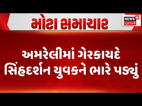Amreli News | અમરેલીમાં ગેરકાયદે સિંહદર્શન યુવકને ભારે પડ્યું | Lion |Gujarati News|News 18 Gujarati