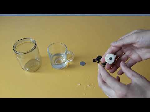 How to quickly create a mousetrap at home