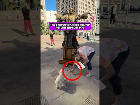 The Statue of Christ Came to Life to Save a Lost Dog! #shorts #dog