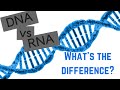 DNA and RNA Structure and Function