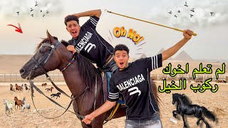 لم تعلم اخوك👬 ركوب الخيل 🏇 و يحصل خناقة 😱 😡بين الخيل 🎠 في الصحراء 🌅 وتوهو😳😭 l التوينز المحبوب 